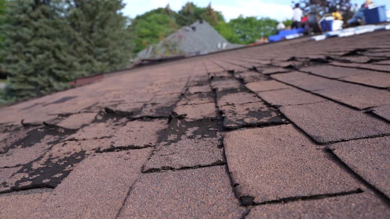 4 Ply Roofing in Poynette, WI